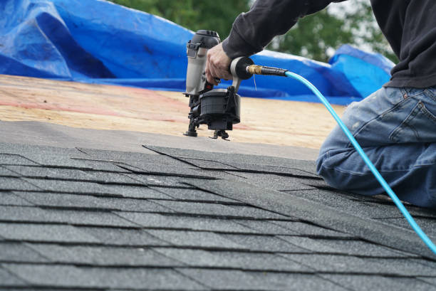 Best Roof Gutter Cleaning  in Grafton, ND