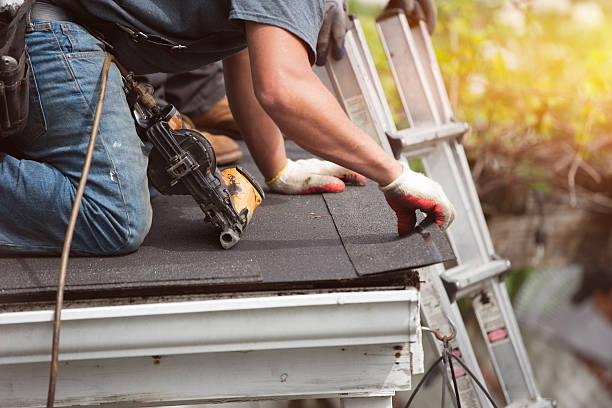 Best Metal Roofing Contractor  in Grafton, ND